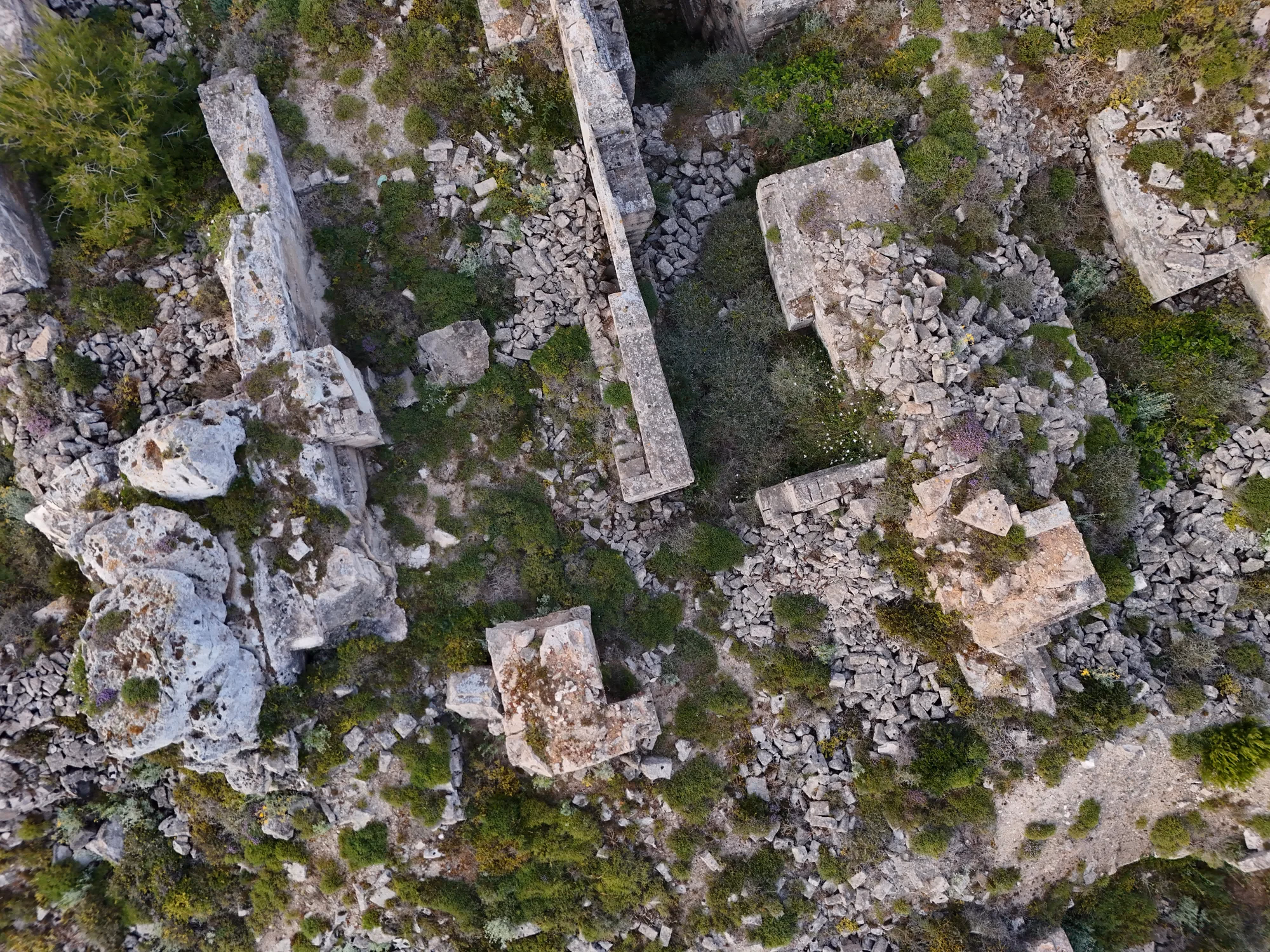 Le ex cave di calcarenite viste dall'alto, tagli netti e macchia bassa