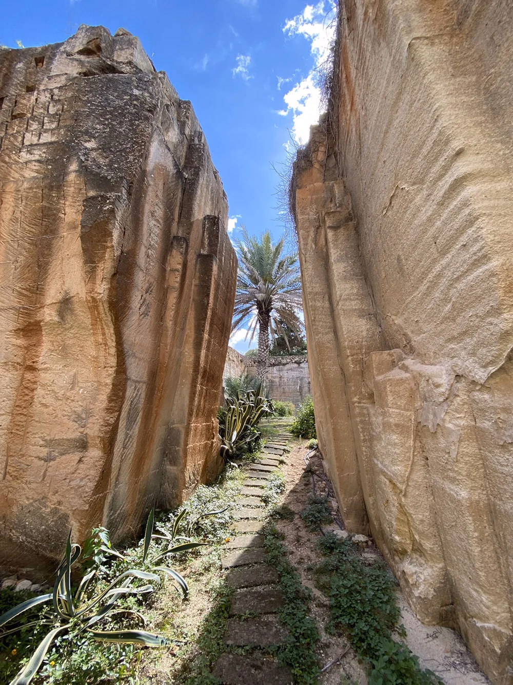 Il corridoio fra due pareti di calcarenite del Giardino dell'Impossibile, con la palma sul fondo